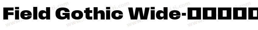 Field Gothic Wide字体转换
